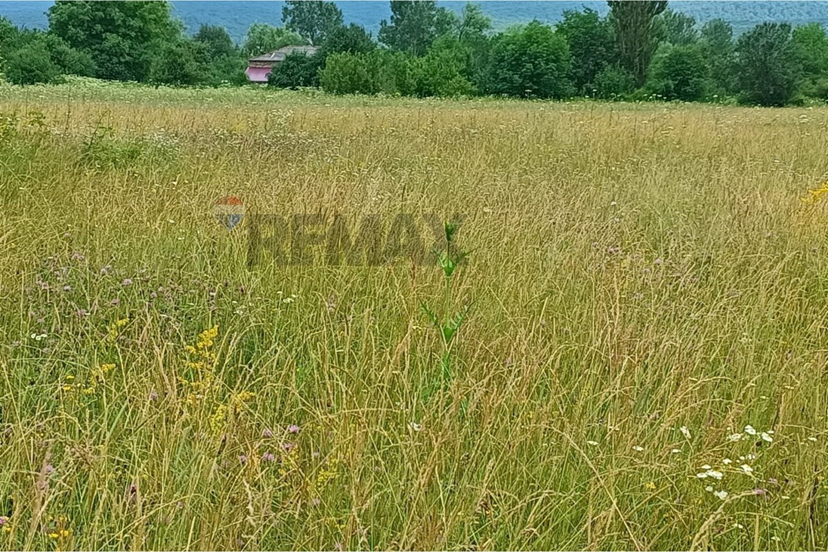 იყიდება მიწის ნაკვეთები სოფელ გუდანელებში - Photo 4