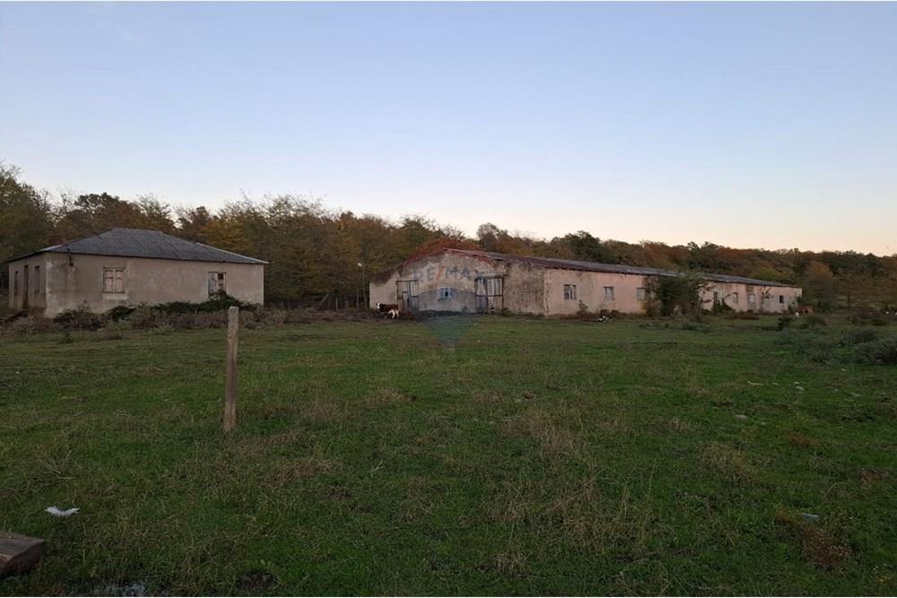 იყიდება ფერმა - Photo 5