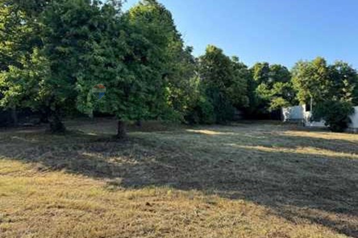 Urgent Sale: NonAgricultural Land Plot in Kojori - Photo 2