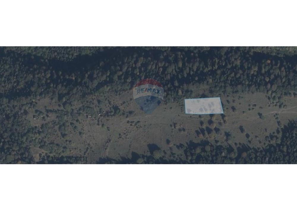 Land for Sale in Gostibe-Kaspi Municipality - Photo 4