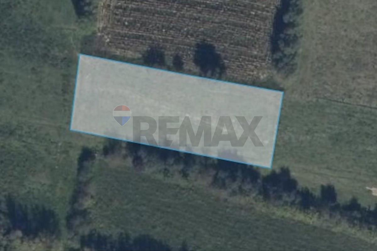 Land plot for sale in Tsilkani - Photo 2