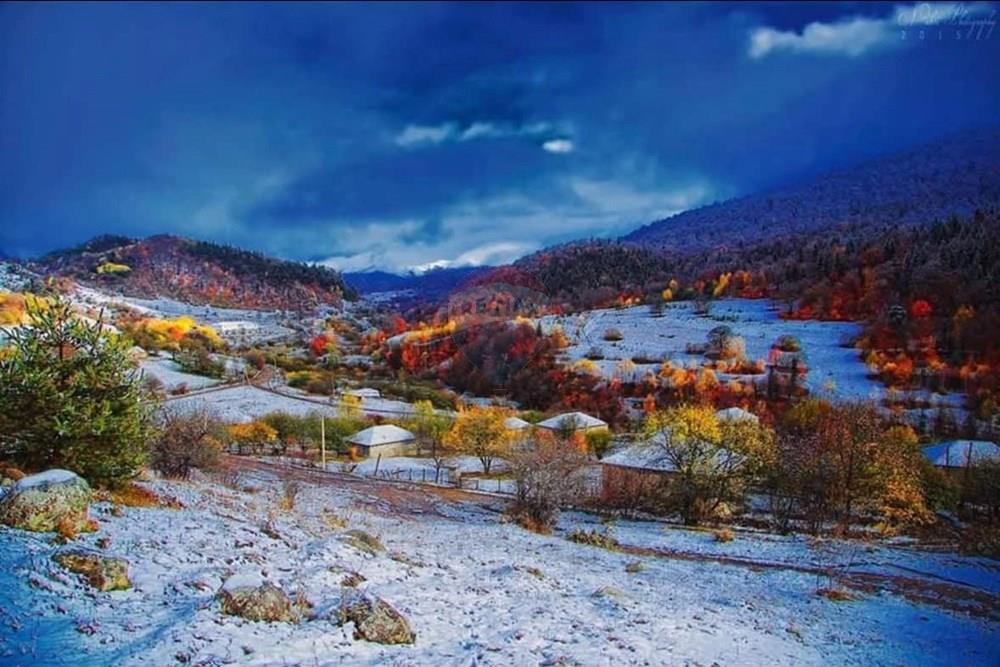 Land for Sale in Gostibe-Kaspi Municipality - Photo 2