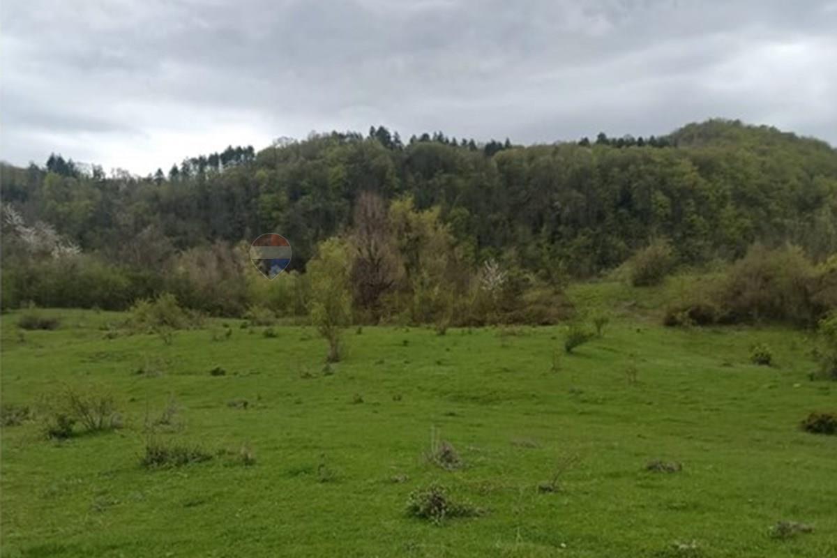 18.8 ha investment land for sale in Ambrolauri - Photo 4
