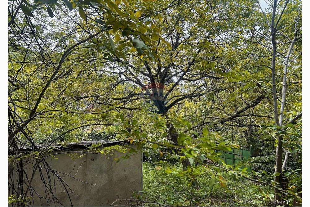 Land plot for sale in Tskneti - Photo 2