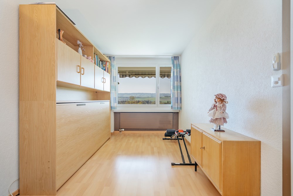 Residential - House - Oberlunkhofen, Aargau - CH - SCHMIDT33-17.jpg - 118921009-380