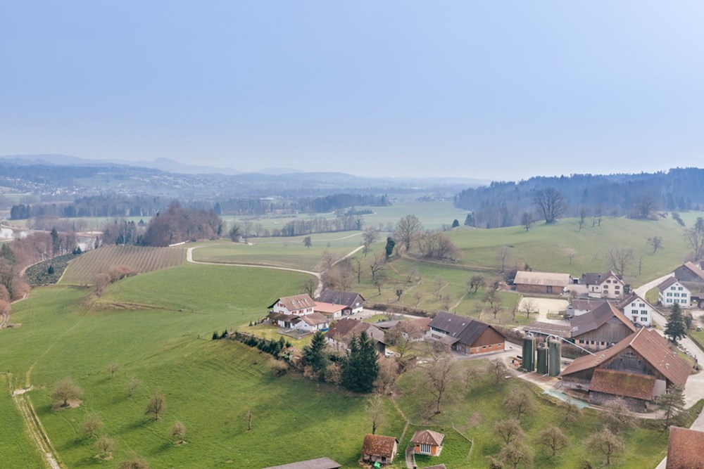 Residential - House - Hermetschwil, Aargau - CH - WINKE-48.jpg - 118921009-374