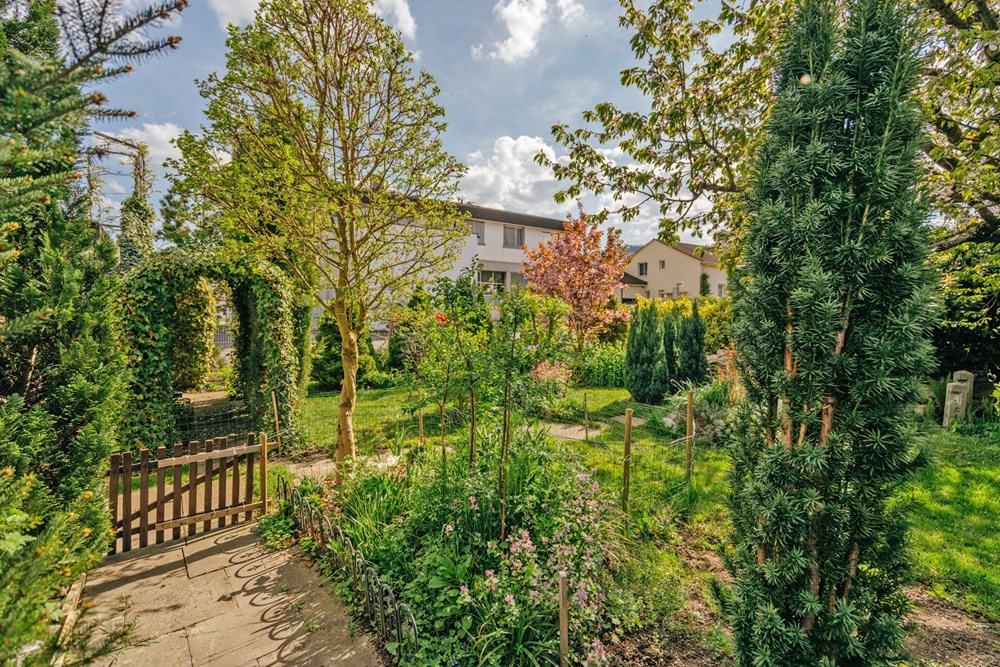 Residential - Multi-Family - Dintikon, Aargau - CH - LANGE57-57.jpg - 118921009-381