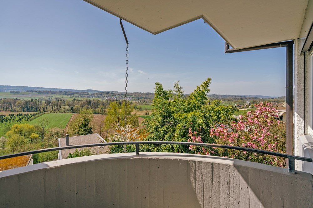 Residential - House - Oberlunkhofen, Aargau - CH - SCHMIDT33-26.jpg - 118921009-380
