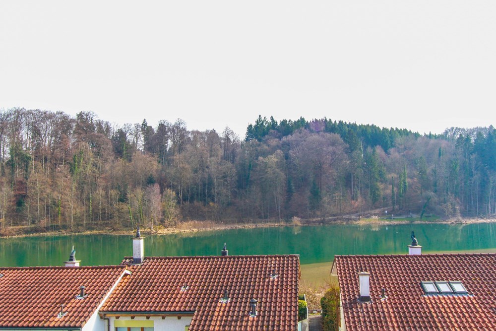 Residential - House - Bremgarten AG, Aargau - CH - IMG_8516.jpg - 118921007-231