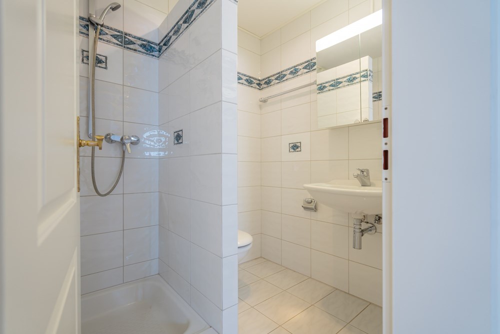 Residential - Villa - Zufikon, Aargau - CH - DSC07168.jpg - 118921016-193