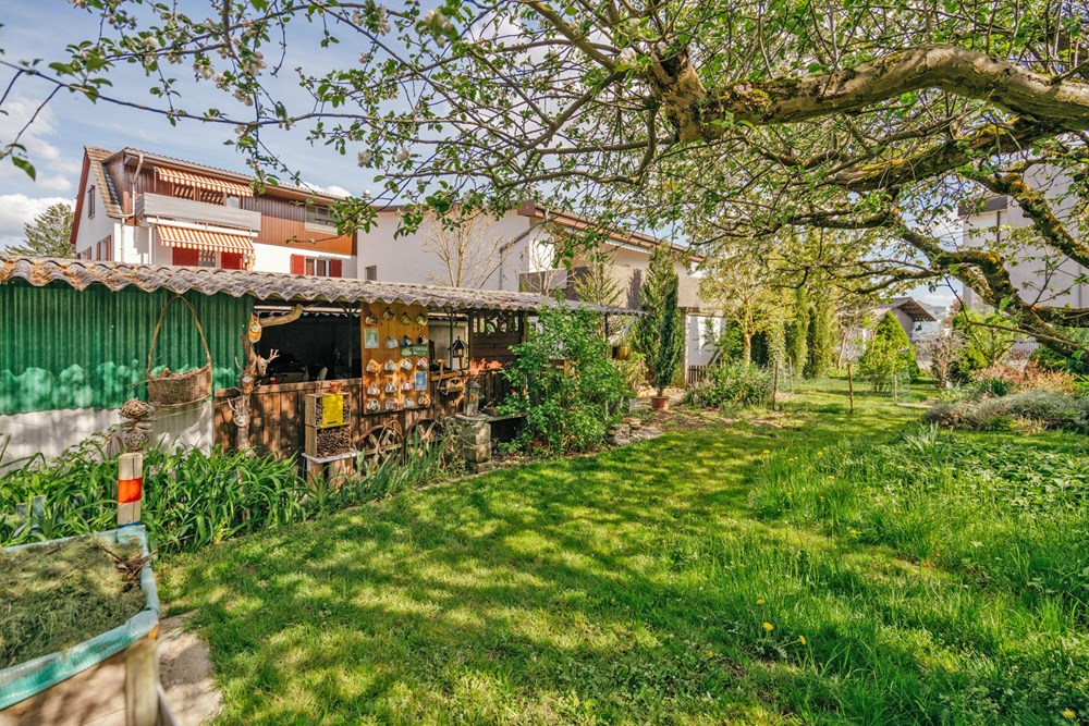 Residential - Multi-Family - Dintikon, Aargau - CH - LANGE57-56.jpg - 118921009-381