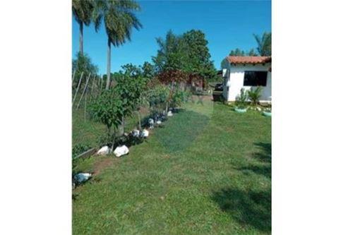 Propiedad en venta en Caapucú — foto 2