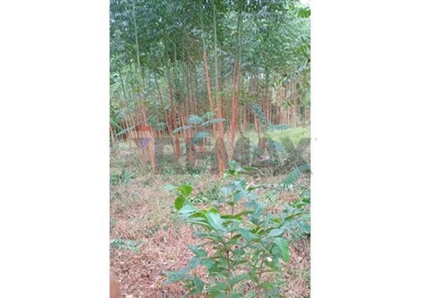 en venta en Itauguá