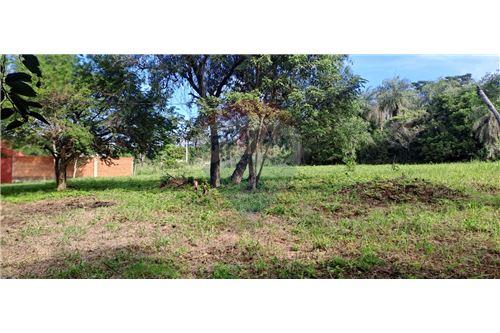 en venta en Limpio