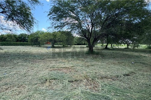 en venta en Loma Plata