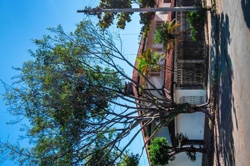 en venta en Santa María