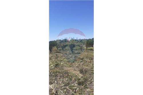 en venta en San Juan Del Paraná