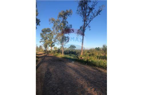 en venta en Limpio
