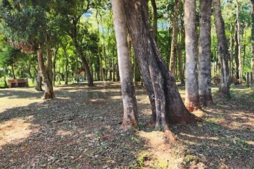 en venta en Capitán Miranda