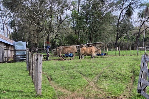 en venta en Caazapá