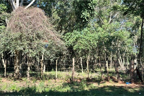 en venta en Caacupé