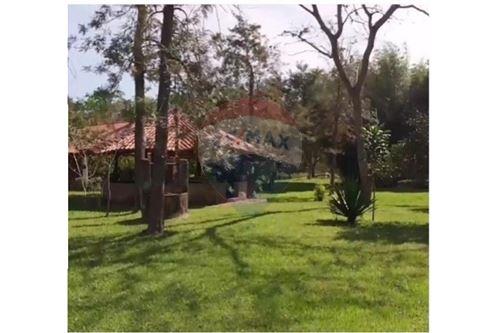 Hermoso terreno a metros de la ex estación de tren y de la Ruta Wenceslao Martínez, que conecta con el centro de la Ciud — foto 2