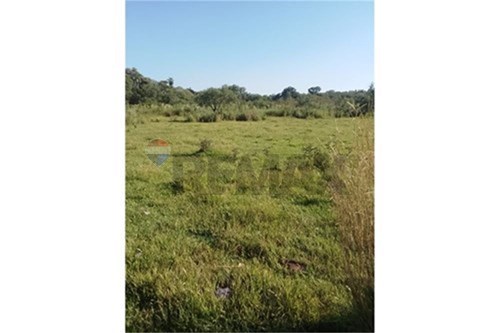 en venta en Coronel Bogado