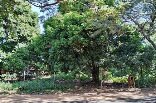 en venta en Capiata
