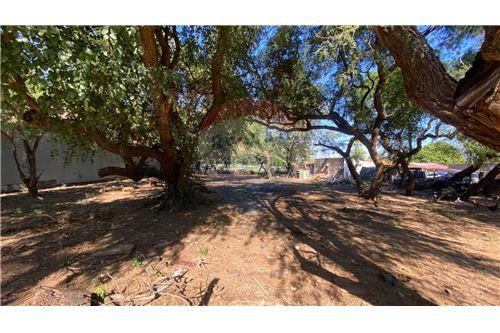 en venta en Lambaré