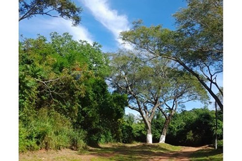 en venta en Aregua