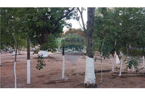 en venta en Mariano Roque Alonso