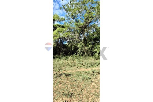 en venta en Limpio