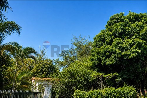 en venta en Limpio