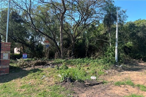 en venta en Limpio