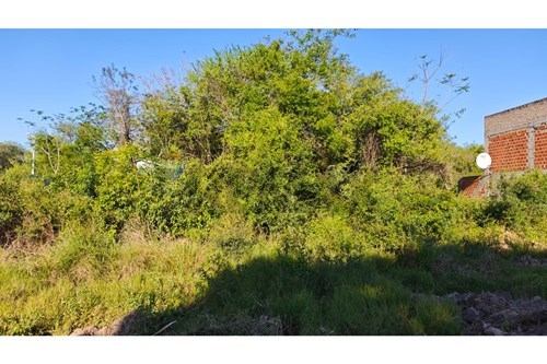 en venta en Luque