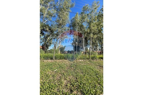 en venta en Limpio