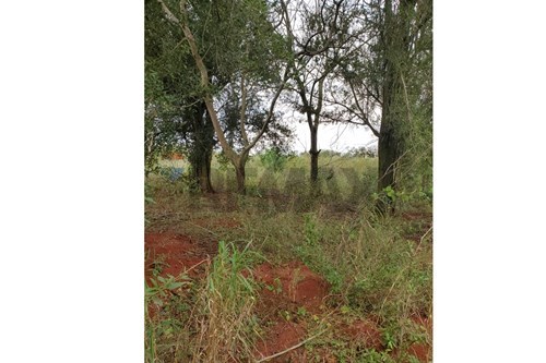 en venta en Curuguaty