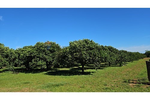 en venta en Coronel Bogado