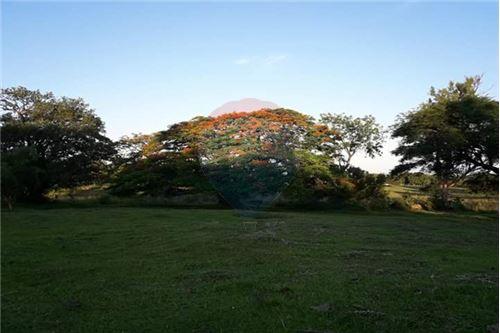 Granja San Isidro: — foto 2