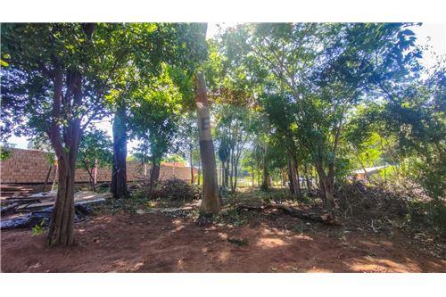 en venta en Villa Elisa