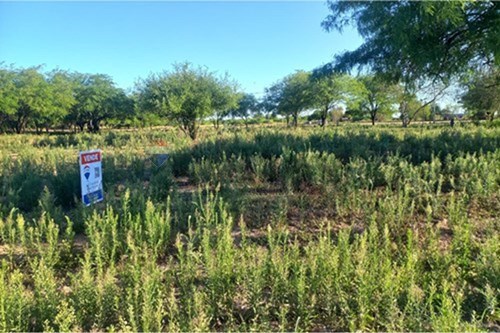 en venta en Loma Plata