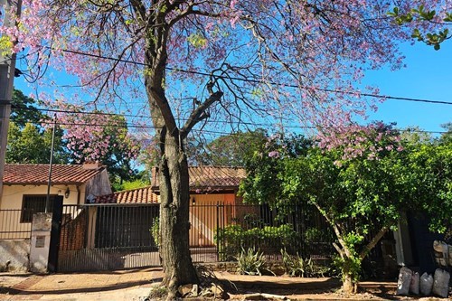 en venta en San Vicente