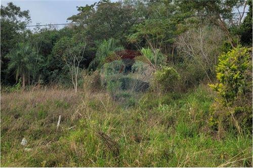 Terreno en venta en Ypané — foto 3