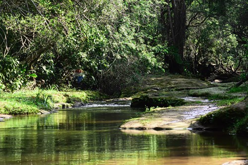 en venta en Itacurubí De La Cordillera