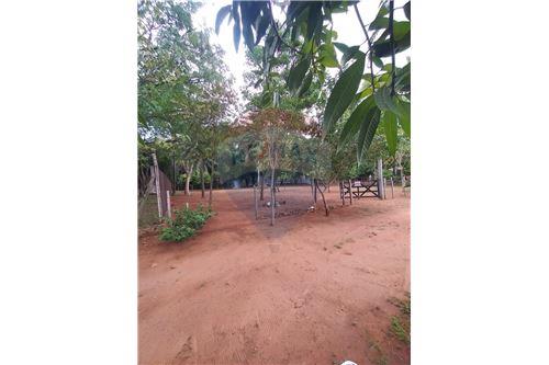 en venta en Atyra