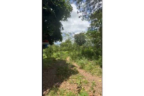en venta en Tebicuary-Mí