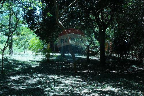 en venta en Caacupé