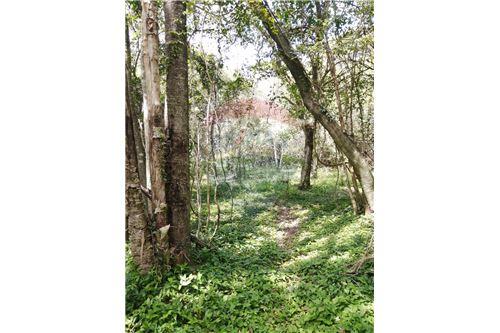 en venta en San Juan Del Paraná