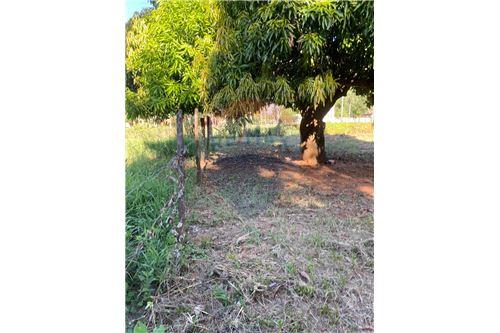 en venta en Luque