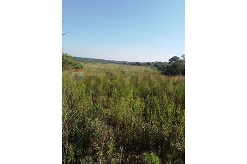 en venta en Coronel Bogado